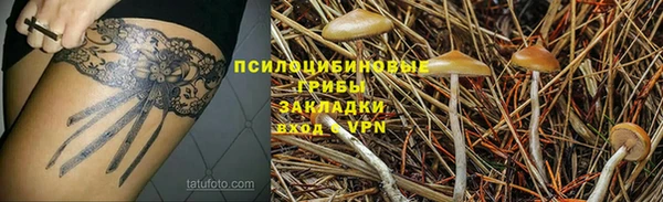 ешки Абинск