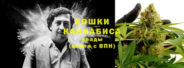 ешки Абаза