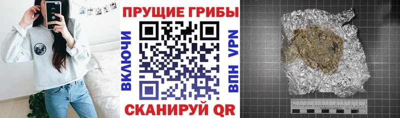 Псилоцибиновые грибы Magic Shrooms  сайты даркнета официальный сайт  Братск  купить  